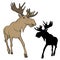 Adult moose go black silhouette