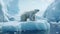 Adult polar bear on a melting iceberg close-up view