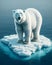 Adult Polar Bear North Pole Stranded Floating Ice island Melting Climate Change AI Generated