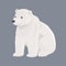 Adult polar bear. Vector cartoon illustration. North animal.