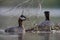 A adult red-necked grebe Podiceps grisegena perched on its nest with the partner next to it in the water.