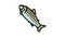 adult salmon color icon animation