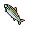 adult salmon color icon vector illustration