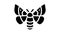 adult silkworm moths glyph icon animation