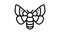 adult silkworm moths line icon animation