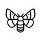 adult silkworm moths line icon vector illustration