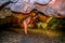 Adult slim girl looks at the ceiling inside the Damlatas cave in Alanya Turkey. Young blonde tourist bent over in a low cavern