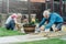 Adult son and father carpenter working together, handle wooden timbers in the garden. Patio construction by your own