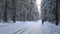 Adult sportsman running on the road in the winter forest