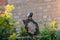 Adult starlings, hanging upside down on homemade bird feeder