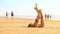 Adult Tourists Look at Girls Doing Yoga on Golden Sand