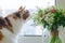 Adult tricolor domestic cat sitting on windowsill with bouquet of spring flowers