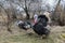 Adult turkeys with dark feathers in a spring garden