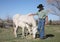 Adult western man with white horse and foal