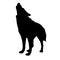 Adult wolf vector black silhouette