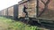 Adult woman climbing the side ladder of an abandoned train freight car. Abandoned places concept