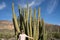 Adult woman poses with a large Organ Pipe Cactus in Arizona at the National Monument