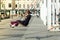 An adult woman rides on a swing in the center of Moscow in the summer. Summer vacation in Moscow. Parks and walking streets of