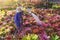 Adult woman watering different types of colorful bromeliad plants in backyard area