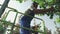 Adult worker cuts leaves at the tree