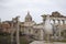 An adult yellow-legged gull photographed with a wide angle in front of the plaza of the Roman Forum.