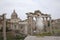 An adult yellow-legged gull photographed with a wide angle in front of the plaza of the Roman Forum.