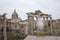 An adult yellow-legged gull photographed with a wide angle in front of the plaza of the Roman Forum.