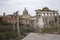 An adult yellow-legged gull photographed with a wide angle in front of the plaza of the Roman Forum.