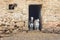 Adult and young goats looking out of barn doors and window. Life on farm. Ecotourism concept