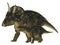 Adult and Young Nedoceratops