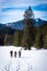 Adults snowshoeing thruogh field in Kaiserau with mountain Rottenmanner Tauern