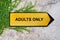 Adults only on yellow sign hanging on ivy wall