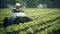 Advanced Robotic Agriculture in Action on a Farm. Generative ai