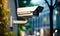 Advanced Security CCTV Monitoring in Modern Urban Structures