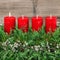 Advent decoration wreath four red burning candles