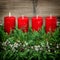 Advent decoration wreath four red burning candles vintage