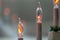Advent electric candles.Close-Up