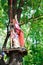 Adventure climbing high wire park - hiking in rope park two sisters.