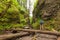 Adventure man hiking with backpack, walking in Oneonta Gorge, outdoor lifestyle