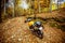 Adventure motorbike in forest