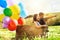 Adventure is out there. Shot of a pair of adorable siblings playing with a basket and a bunch of balloons outside.