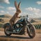 Adventure Ride: Rabbit Hitches a Ride on a Motorcycle