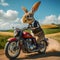 Adventure Ride: Rabbit Hitches a Ride on a Motorcycle