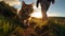 Adventure In The Scottish Landscape: A Fisheye Lens Sunset Stroll With A Cat