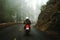 Adventure Seeker: Solo Biker Cruising Through Majestic Forest-Covered Mountain Roads on his Motorcycle.