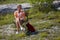 Adventure travel to mountains. Vacation time and summer holidays. Smiling woman sits on tourist chair and looking away