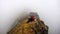 Adventurer on foggy mountain trek