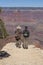 Adventurers at the Grand Canyon national park, Arizona