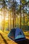 Adventures Camping and tent under the pine forest near water outdoor in morning and sunset at Pang-ung, pine forest park , Mae Hon