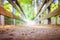 Adventures journey, self discovery: Wooden bridge in the forest, blurry background